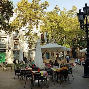 Sunny Studio In Sants Barcellona